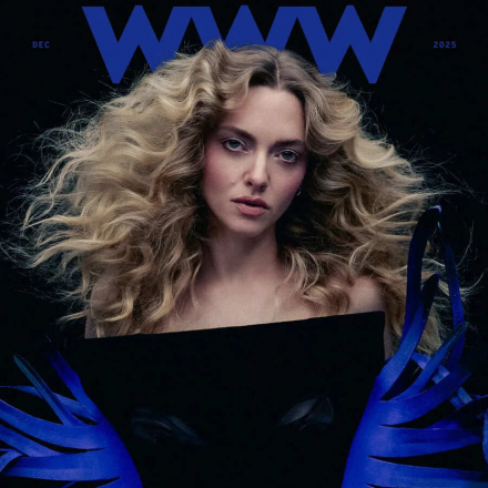 Amanda Seyfried: zarte Kraft und Weiblichkeit ohne Masken — die Dezember-Ausgabe von Who What Wear