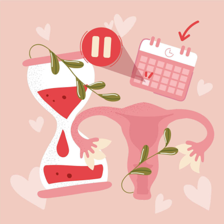 How to "Make Friends" with Your Hormones: A Clear Guide to the Menstrual Cycle from a Gynecologist